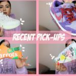 ALL THINGS TRAINERS – RECENT PICK UPS – Anwar Carrots,Yeezy,Nike, Sean Wotherspoon & more