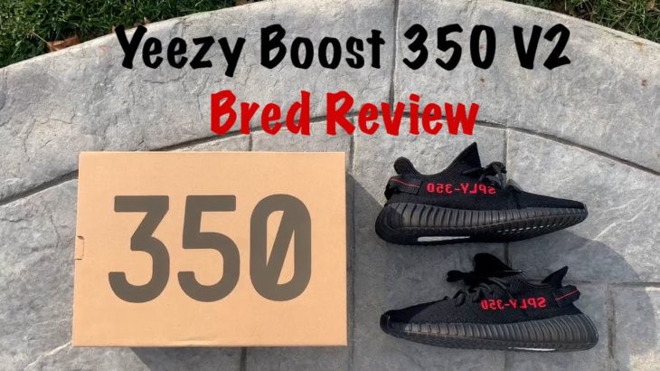 Adidas Yeezy Boost 350 V2 “Bred” Review/On Foot 2020