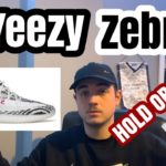 HOLD OR SELL YEEZY 350 ZEBRA! RESELL PREDICTIONS AND MORE! 75K STOCK?