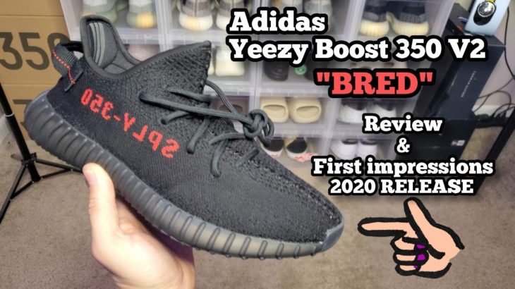 IS YEEZY HYPE BACK!? Adidas Yeezy Boost 350 V2 “BRED” Review And First Impressions (2020 RESTOCk)
