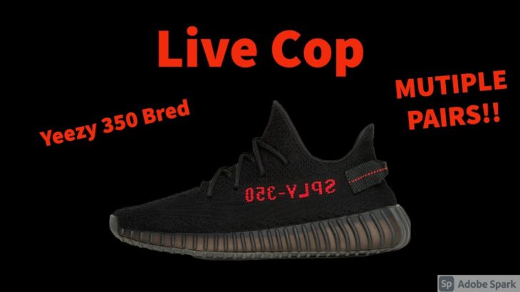 LIVE COP WITH NSB: Yeezy 350 V2 Bred