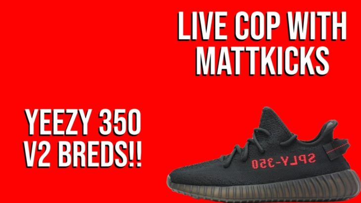 LIVE COP : YEEZY 350 V2 BREDS // BOTTING AND MANUAL // ITS DROPTIME