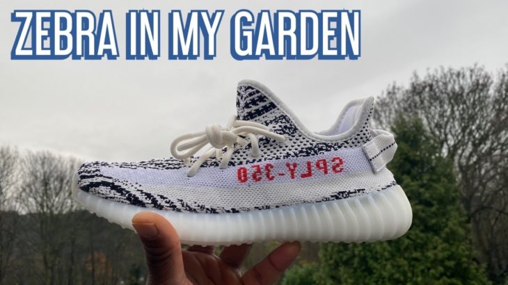 OMG WE WON A PAIR OF ADIDAS YEEZY 350 V2 ZEBRA RESTOCK 2020 & RESELL PREDICTIONS