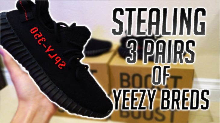 Stealing 3 Pairs of Yeezy Breds