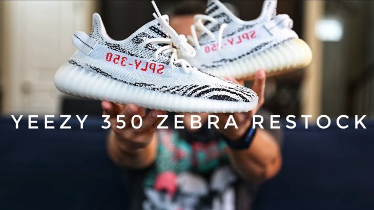 YEEZY 350 V2 ZEBRA RESTOCK?! 🚨🚨🚨| ARE YOU GOING FOR THESE?