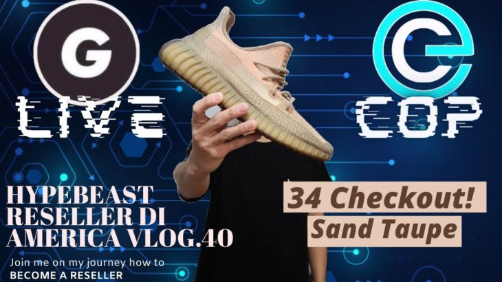 YEEZY SAND TAUPE LIVE COP !!! CHECKOUT 34 PAIRS // VLOG.40