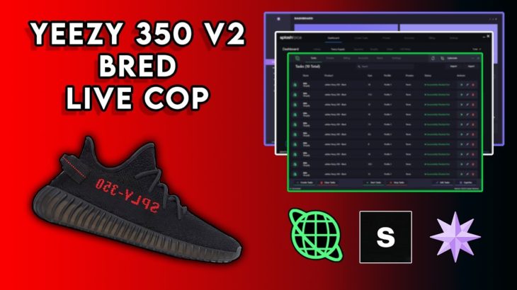 Yeezy 350 Bred Live Cop | 68 Pairs | Cybersole, Polaris, Splashforce