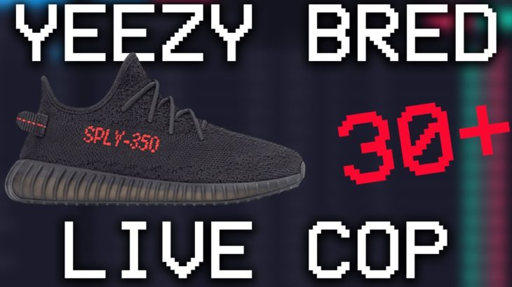 Yeezy 350 V2 Bred – Sneaker Bot LIVE COP
