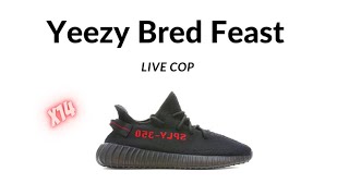 Yeezy Bred Feast Live Cop Episode 8