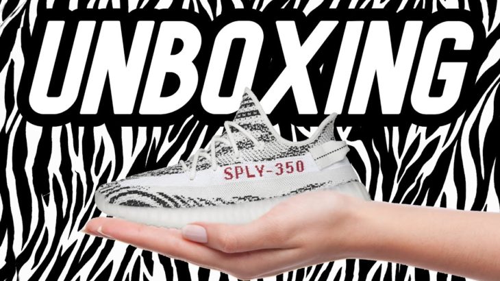 Adidas Yeezy Boost 350 V2 Zebra *unboxing* 4K