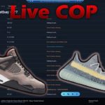 WhatBot Adidas Yeezy Boost 350 v2 Ash Blue & Air Jordan Retro 4 Taupe Haze Live Cop Overview