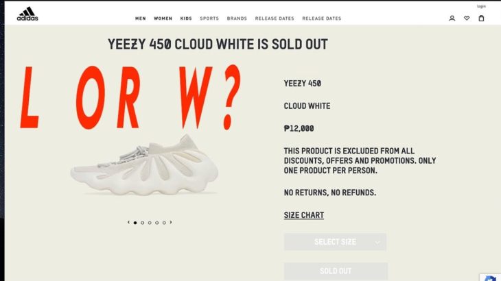 Adidas YEEZY 450 CLOUD WHITE RELEASE DAY REVIEW SOLD OUT!