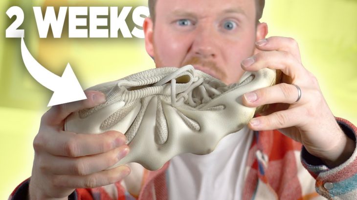 I Wore The YEEZY 450 For 2 WEEKS: THIS IS WHAT HAPPENED!