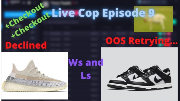 Nike Dunks Dropping and Yeezy 350 Ash Pearl with SoleAIO Live Cop Episode 9