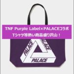 【ファッションニュース】THE NORTH FACE × PALACE　コラボ詳細