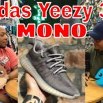 Adidas Yeezy 350 Mono Pack Looks Like Fish and White Walker