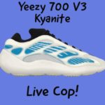 Yeezy 700 V3 Kyanite Live Cop!