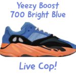 Yeezy Boost 700 Bright Blue Live Cop!