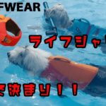 【水遊び】2021年モデル 犬用 ラフウェア ライフジャケット オハナとパトラはこれでスイスイ泳いでます🏊‍♀️オールドイングリッシュシープドッグ Old English Sheepdog