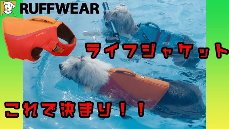 【水遊び】2021年モデル 犬用 ラフウェア ライフジャケット オハナとパトラはこれでスイスイ泳いでます🏊‍♀️オールドイングリッシュシープドッグ Old English Sheepdog