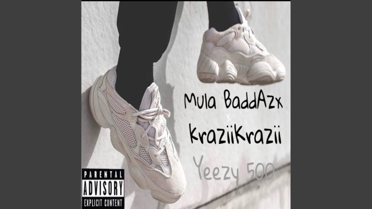 Yeezy 500 (feat. Krazii Krazii)