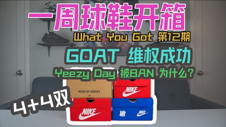 GOAT 维权成功！| Yeezy Day 为什么会被Ban掉？ |  Eazy 一周球鞋开箱 【第13期】| Dunk | Yeezy | Undefeated | What You Got