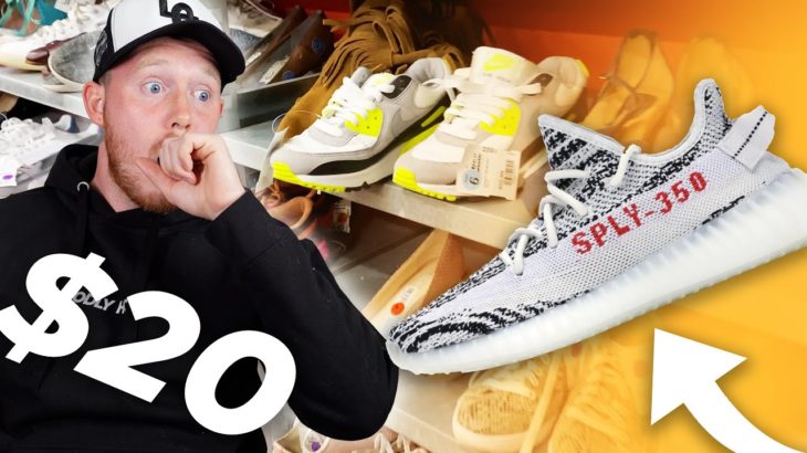 I Found YEEZY 350’s at a Thrift Store?! $20 SNEAKER COLLECTION (Episode 12)