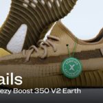 Yeezy 350 v2 Earth | Details