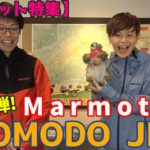 【ジャケット特集】Marmot “COMODO JKT”紹介しますっ！【第２弾】