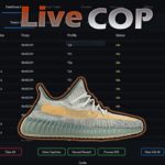 Splashforce Adidas Yeezy Boost 350 v2 Israfil Live Cop Overview