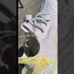 Yeezy 350 Light Review Preview (Fake Pair?)
