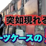 【小湊鐵道】無人駅に現れる、スーツケースの巨大壁！！