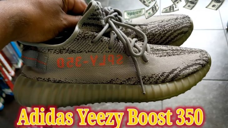 You Will Not Believe The Crazy Insane Fines A Goodwill 👉 Adidas Yeezy Boost 350 V2 Beluga 2.0😱🔥