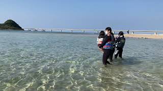 【休眠預金活用事業】ライフジャケット着用の海水浴…プロジェクト豊夢(ホーム)「親子キャンプ」を開催