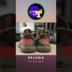GLAMOUR SHOTS OF MY FAKE YEEZY 350 BELUGA | The Sneaker Teacher