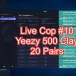 Live Cop #10 (Yeezy 500) – Kodai, Valor, and 20+ Pairs