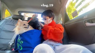 【光が丘公園】のフリマ:)Carharttジャケット/野方餃子🥟 #vlog #fleamarket #dog