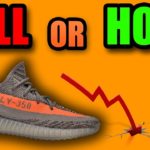 Should You SELL or HOLD The Yeezy 350 BELUGA REFLECTIVE ?