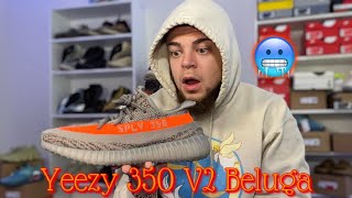 YEEZY 350 V2 BELUGA! COP OR DROP!? (UP-CLOSE REVIEW & OUTFIT IDEAS)