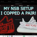NSB : I COPPED a pair of Yeezy 350 Blue Tints on Yeezysupply with NikeShoeBot – How i setup my tasks