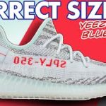 Sizing Guide for YEEZY BOOST 350 V2 BLUE TINT (2022) – Watch before ordering online #shorts