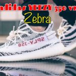 ZEBRA 2022 adidas YEEZY 350 v2