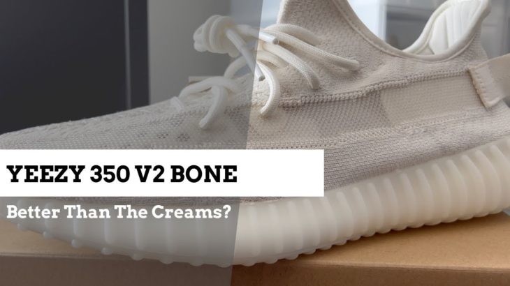 Yeezy 350 V2 BONE Review “Are These Better Than The Creams?”
