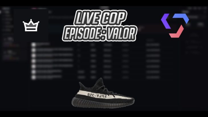 Yeezy 350 v2 “Oreo” Live Cop! ( VALOR COOKOUT 10+ Checkouts )