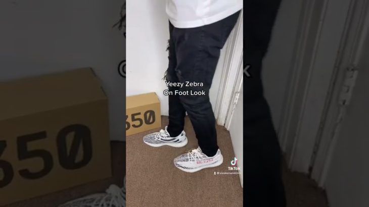 Adidas Yeezy 350 V2 Zebra (2022) On Foot Look