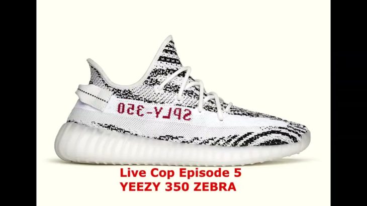 Another Classic Yeezy 350 Yeezy 350 Zebra Live Cop | mdskicks Live Cop Episode 6 WrathAIO And MekAio