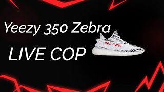LIVE COP – Yeezy 350 V2 Zebra & GFuel Unicorn Shaker