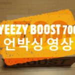 Yeezy BOOST 700 WaveRunner