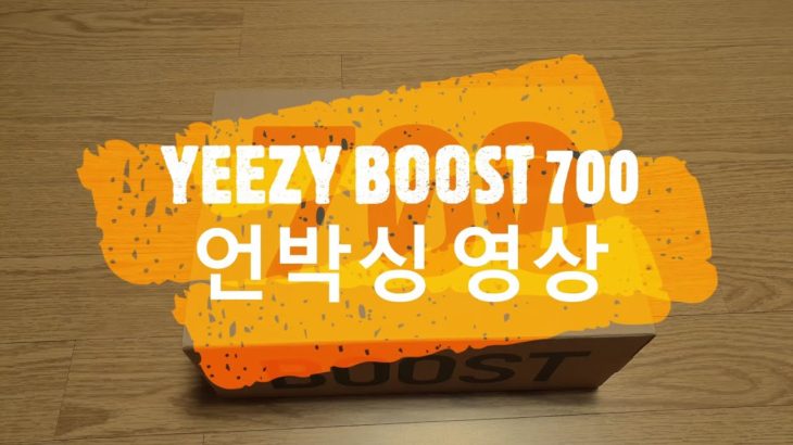 Yeezy BOOST 700 WaveRunner