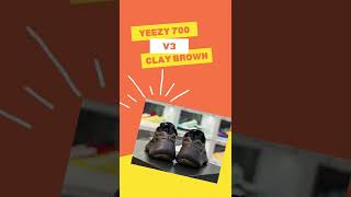 Adidas Yeezy 700 V3 Clay Brown On Feet #Shorts #Sneakers #Yeezy #Clay #Brown #2022